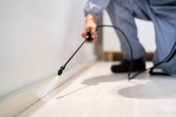 Licensed Fumigation Services service in Weatherford, TX - Nex Pest Control