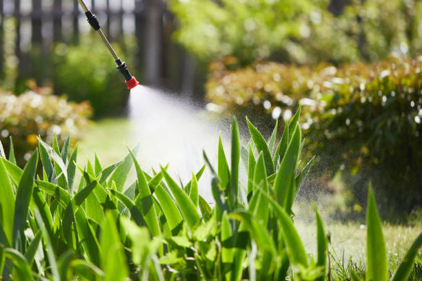 24/7 Emergency Fumigation Services experts in Weatherford, TX