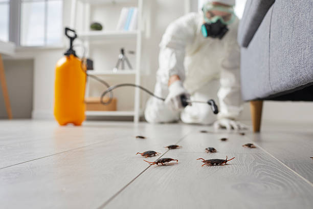 Trusted Fumigation Services service in Weatherford, TX - Nex Pest Control