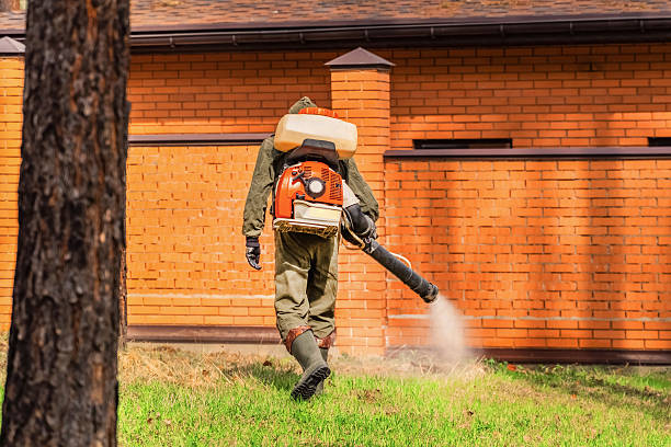 Trusted Termite Control service in Weatherford, TX - Nex Pest Control